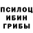 Псилоцибиновые грибы Psilocybine cubensis mineq .122