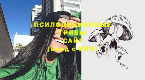 бутират Майский
